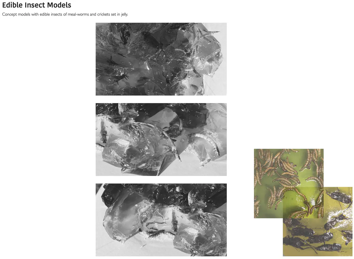 Proposed system for edible insects - Sita Patel Edible Systems 6.png